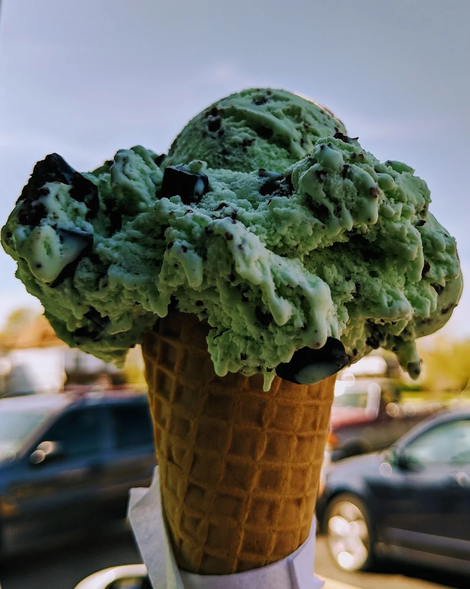 Mint Chocolate Chip