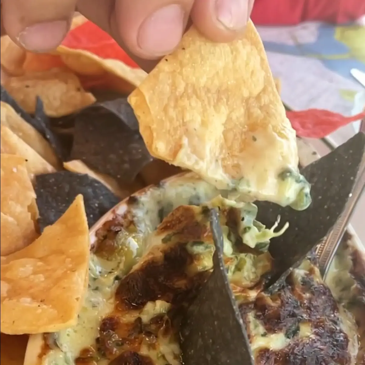 Artichoke Dip