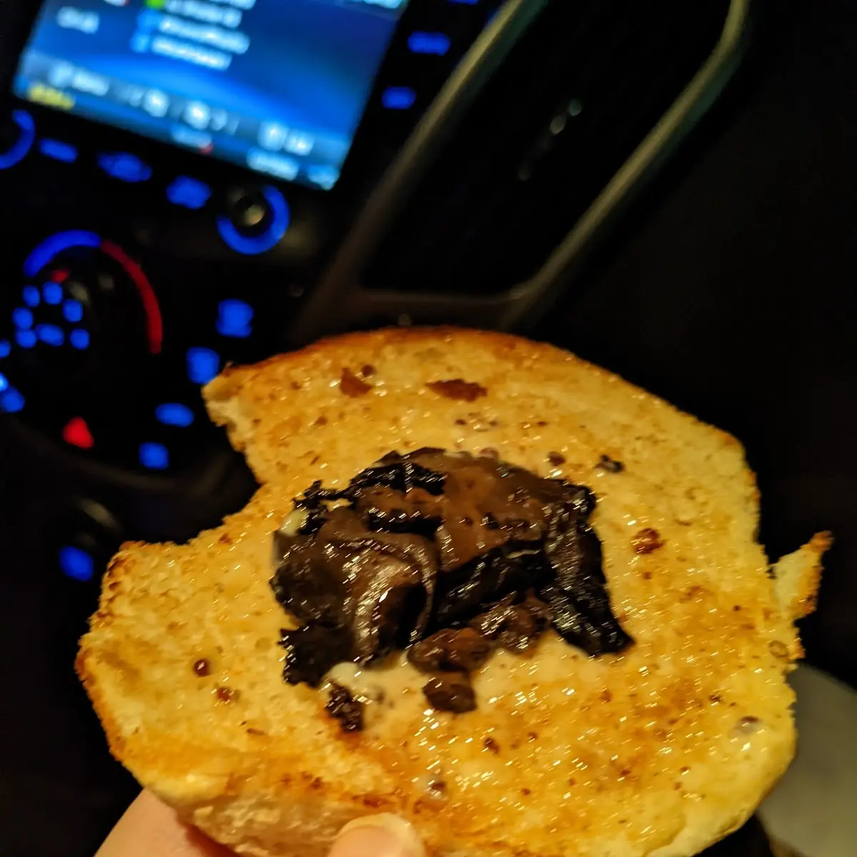 Mushroom Mozzarella Burger, A&W Canada