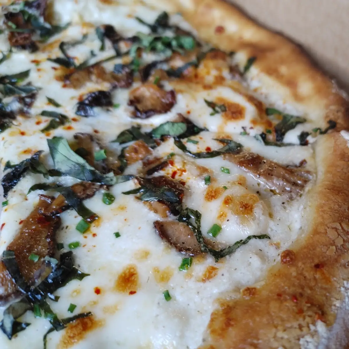 Cheese Pizza Mushroom Pizza