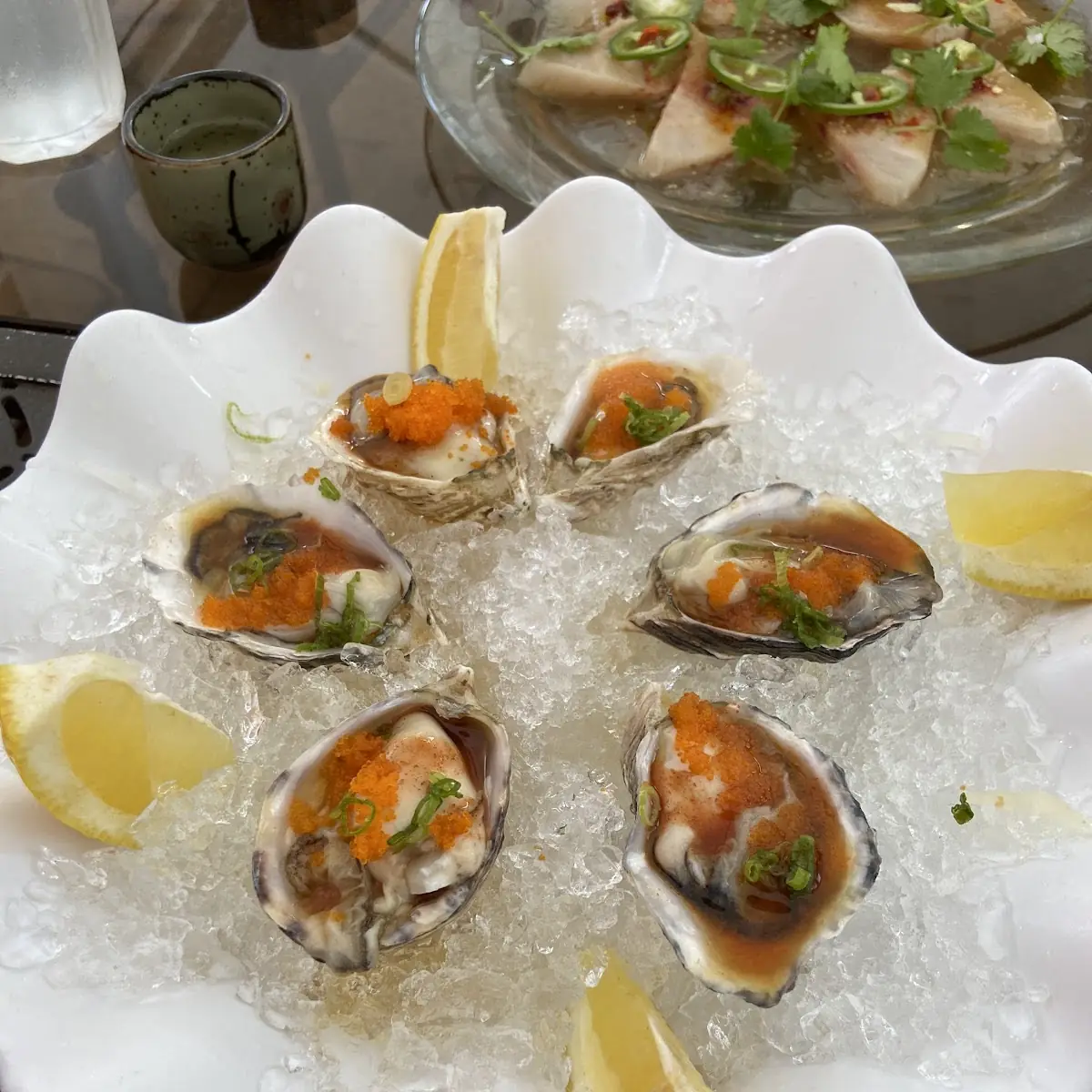 Baked Green Mussels 5