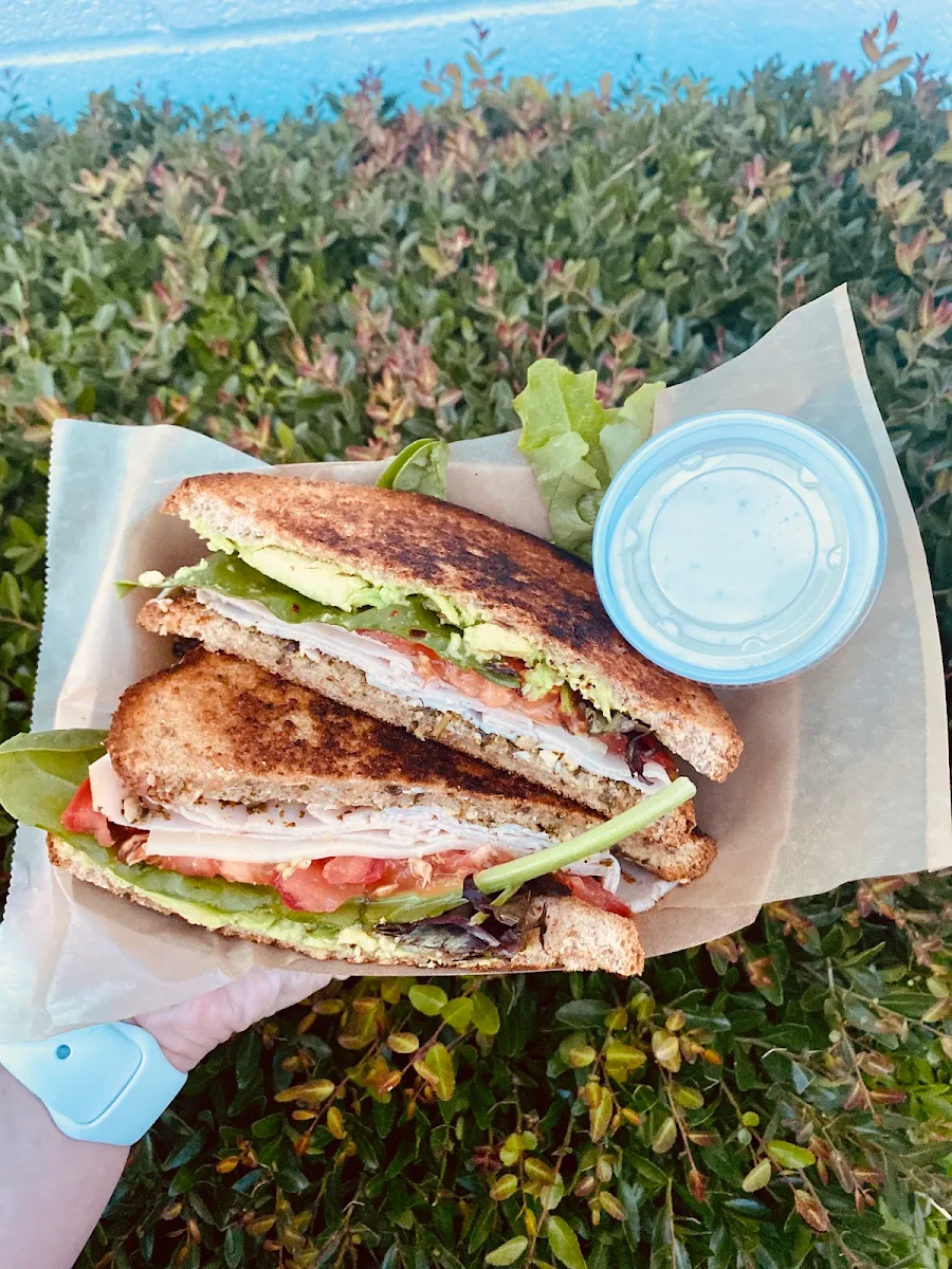 Turkey Pesto Panini