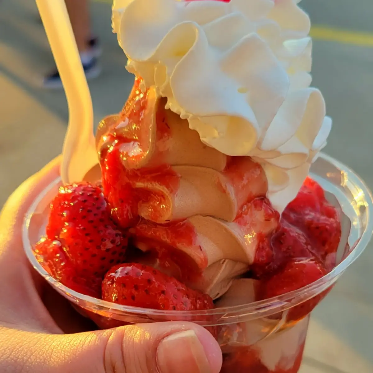 Strawberry Sundae with Chocolate Ice Cream