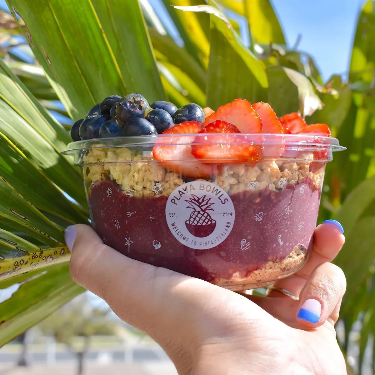 Pura Vida Bowl