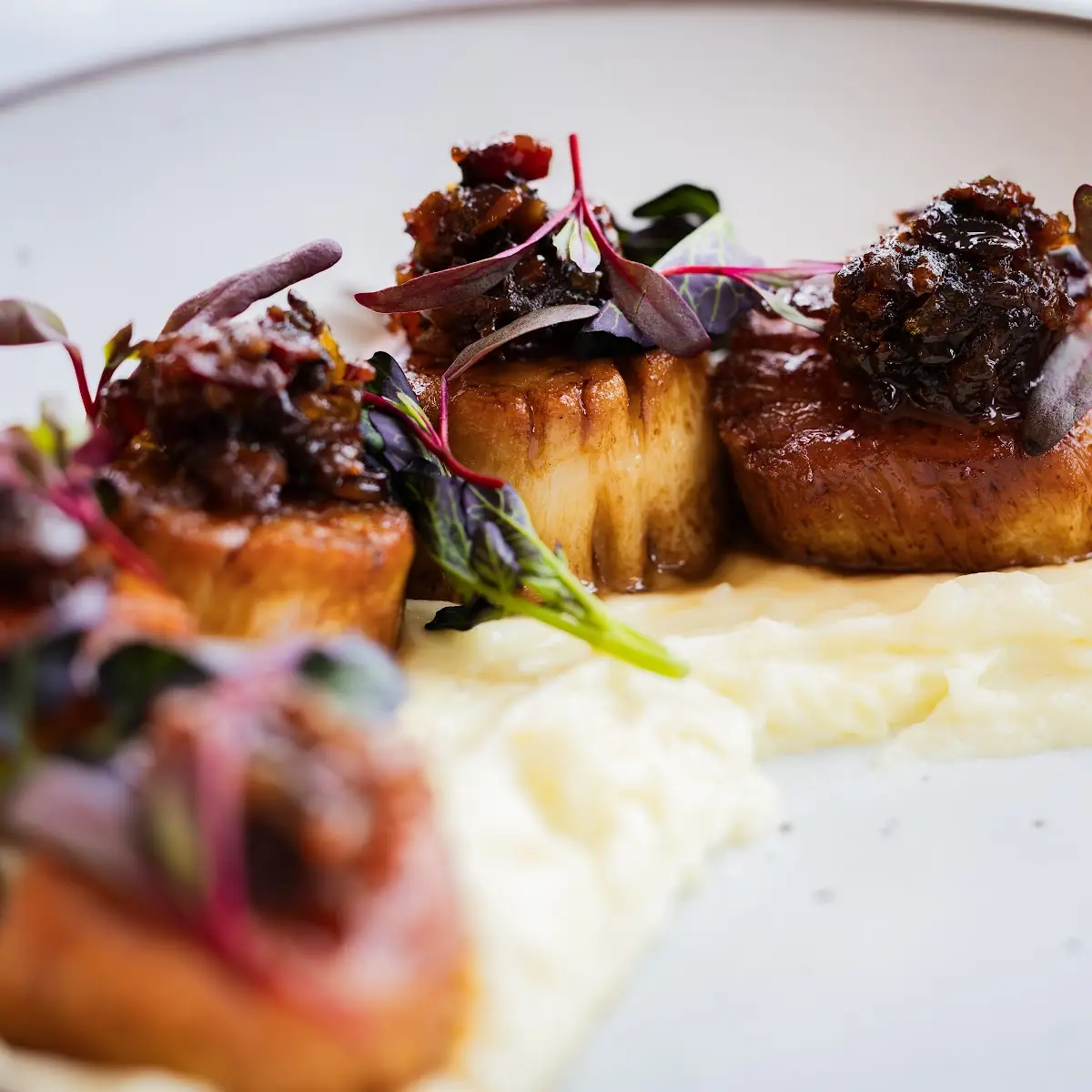 Seared Scallops