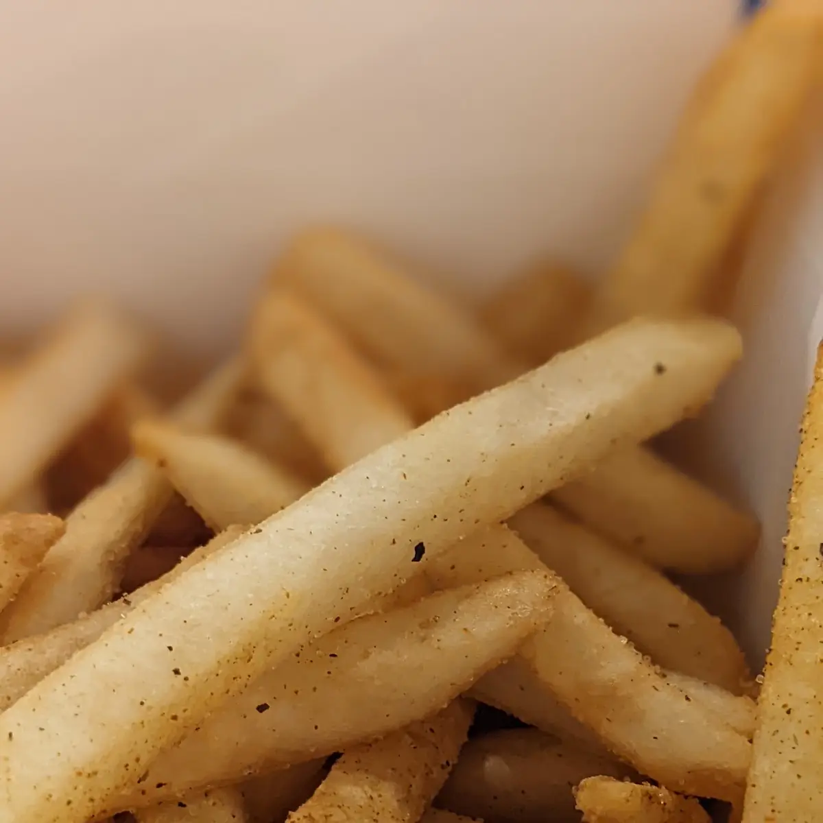Seasoned Fries