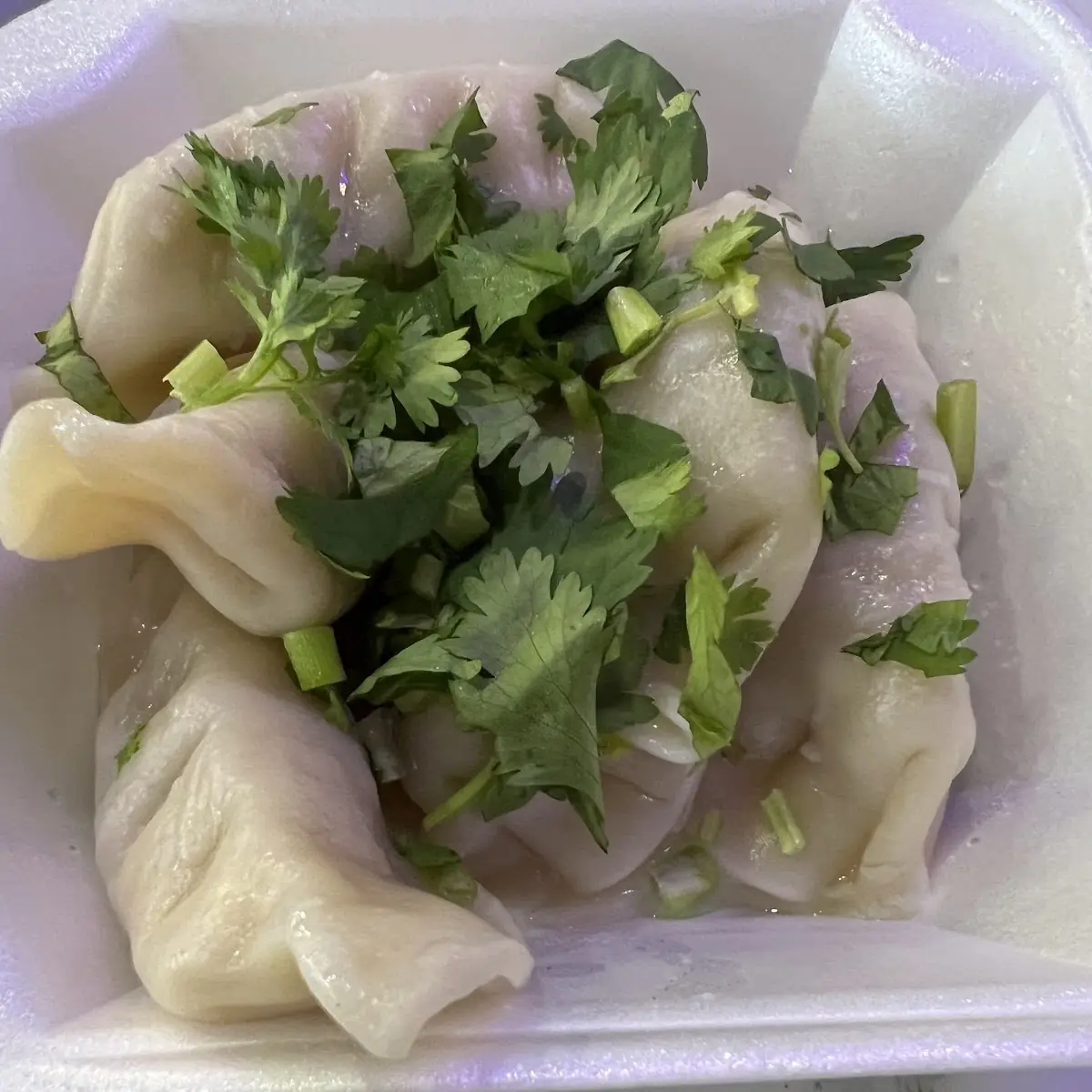 SN10. Dumplings (5)