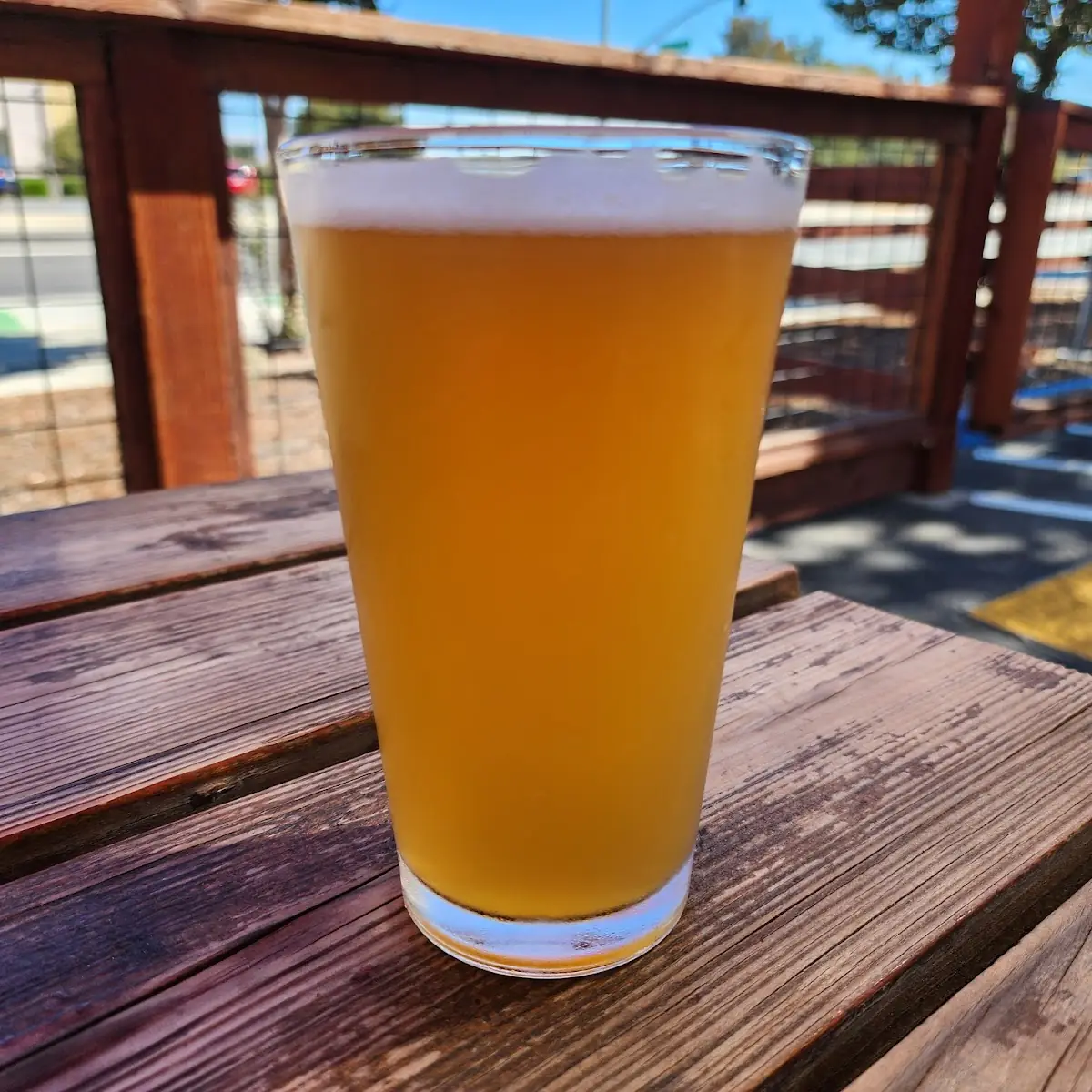 Cold Pressed Hazy IPA