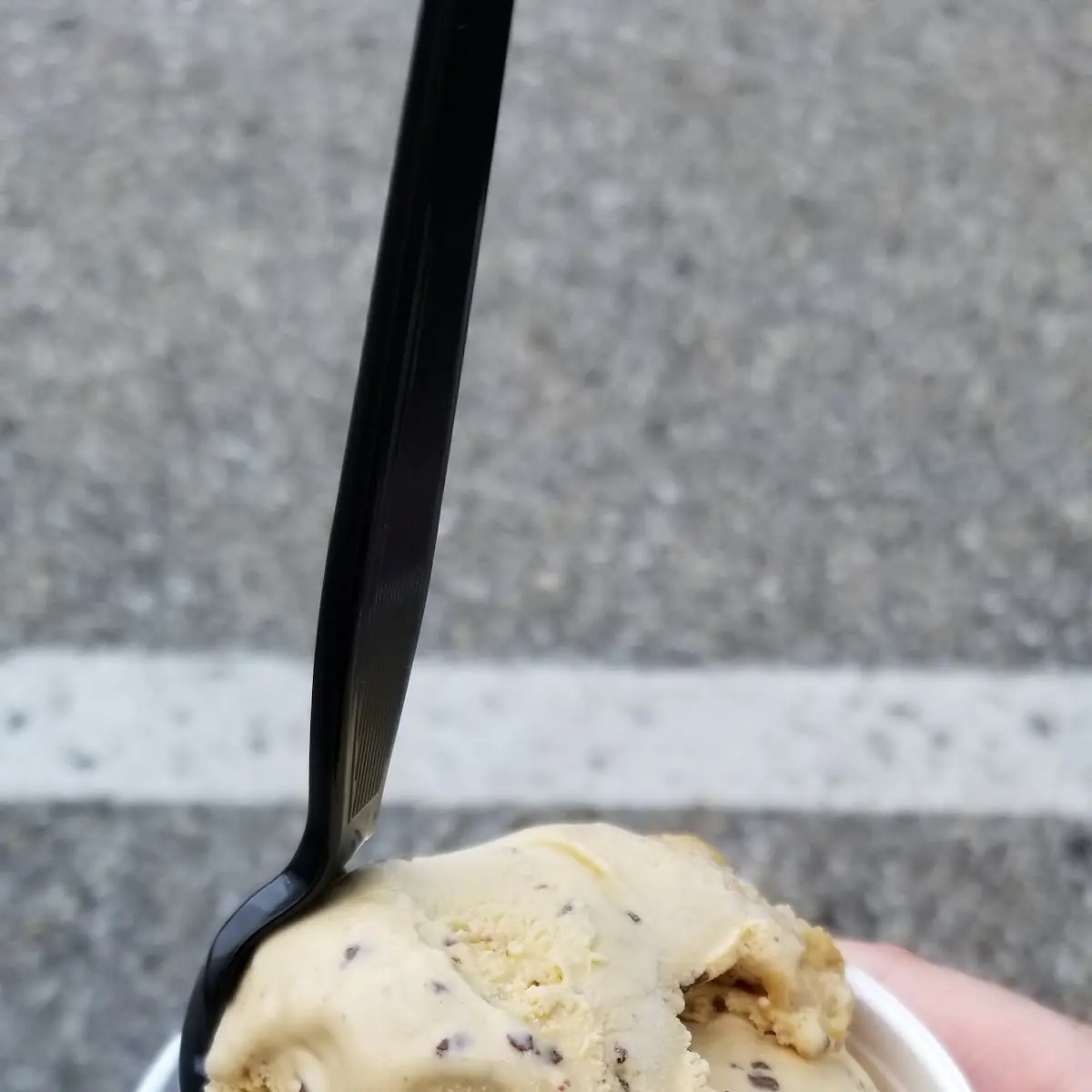 Graham Cracker Ice Cream