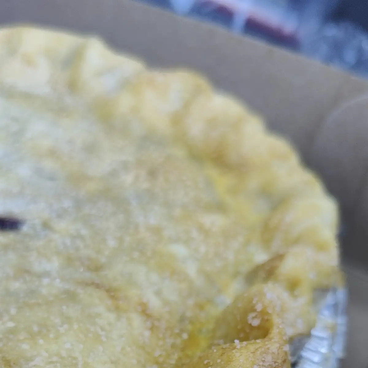 Maine Blueberry Pie
