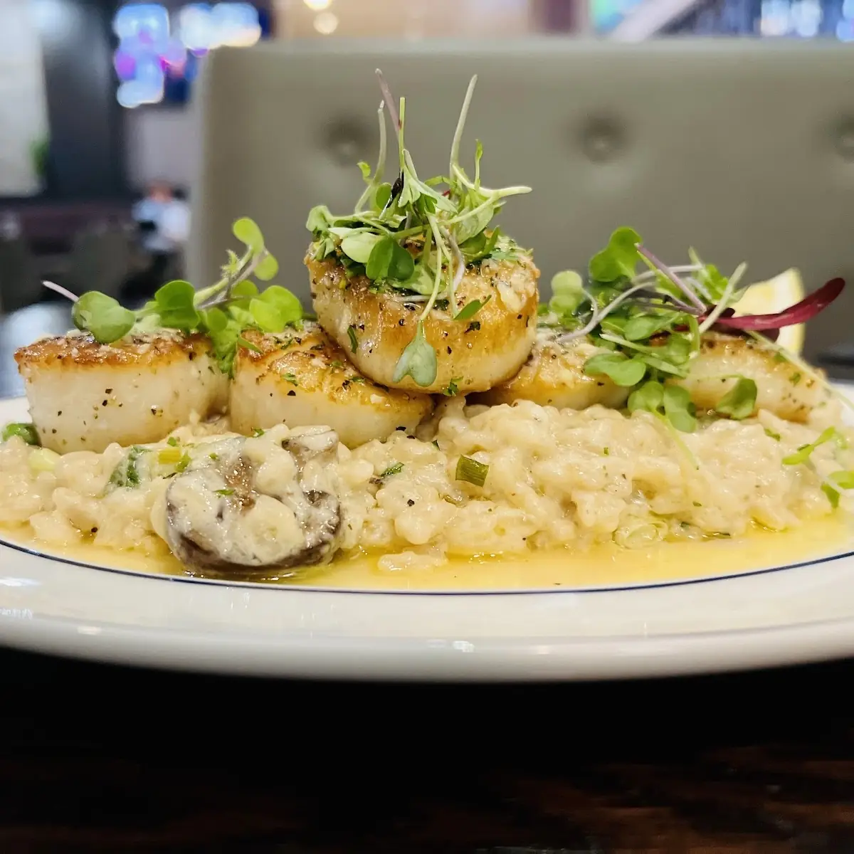 Seared Scallops