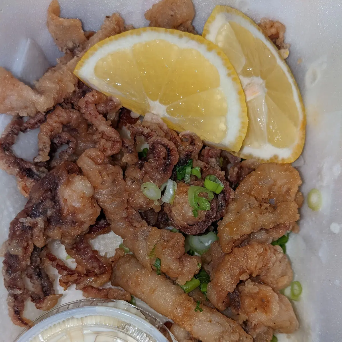Fried Calamari