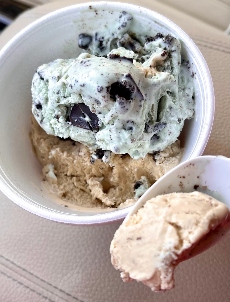 Mint Chocolate Chip