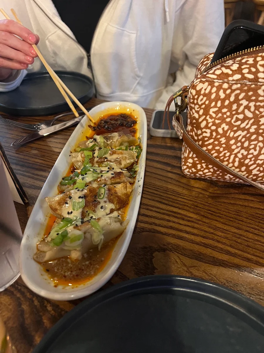 Pan Fried Dumplings