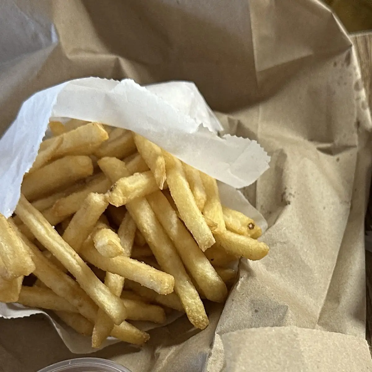 Cheese Burger & Fries