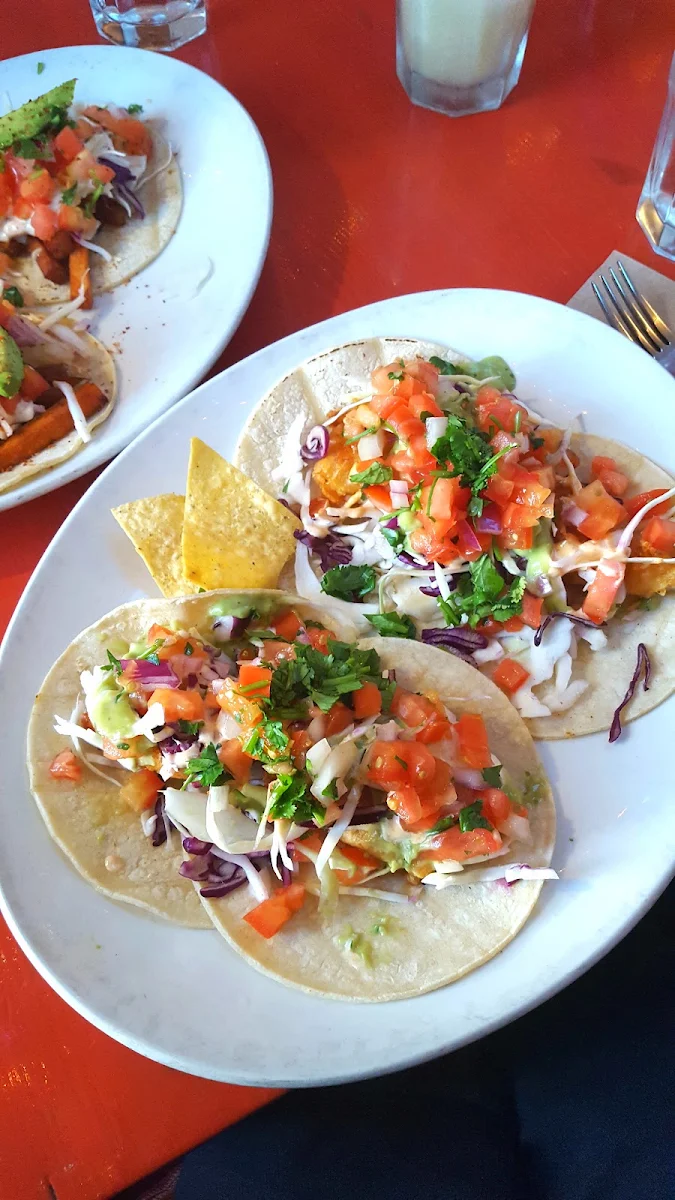Fresh Cod Tacos