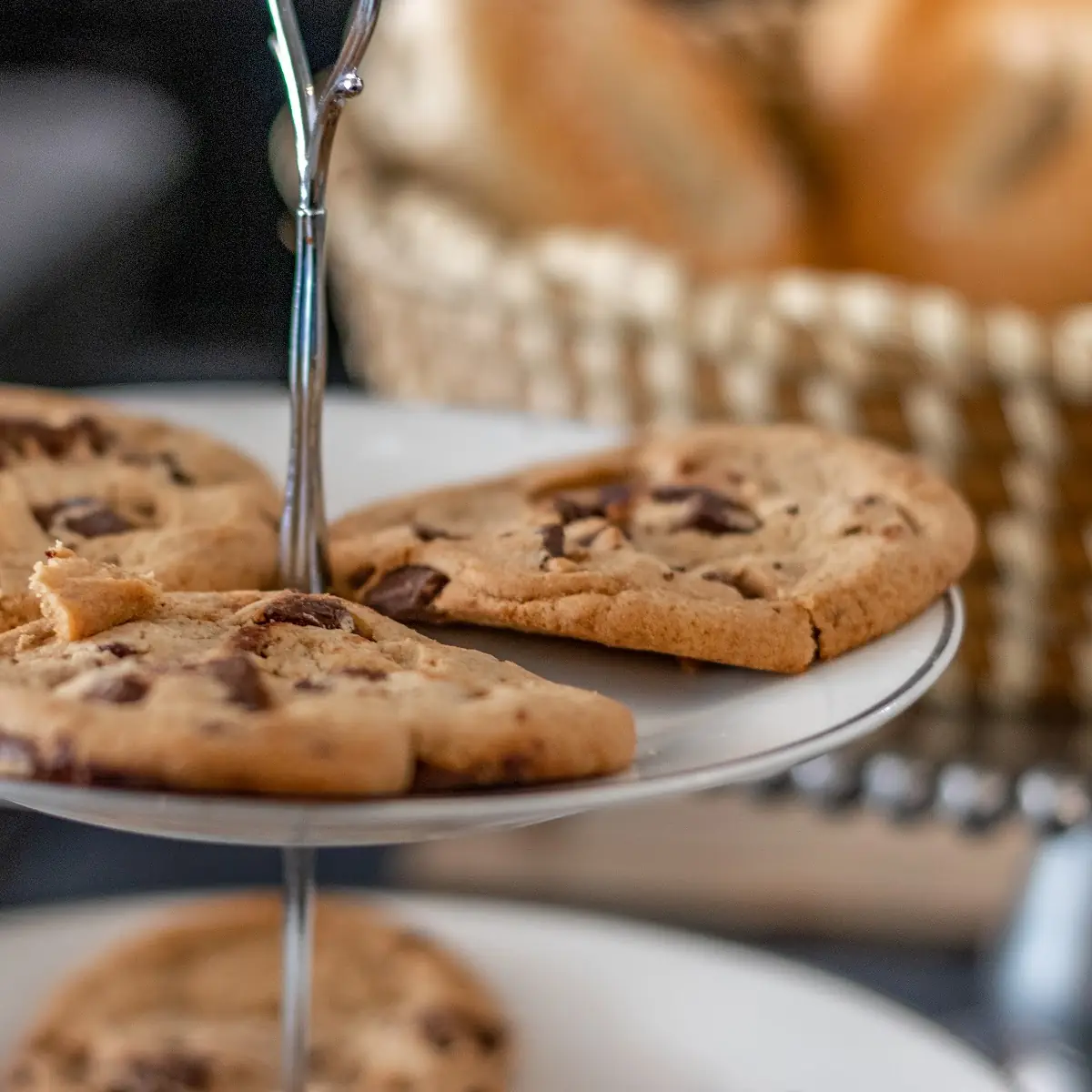 Chocolate Chip Cookie