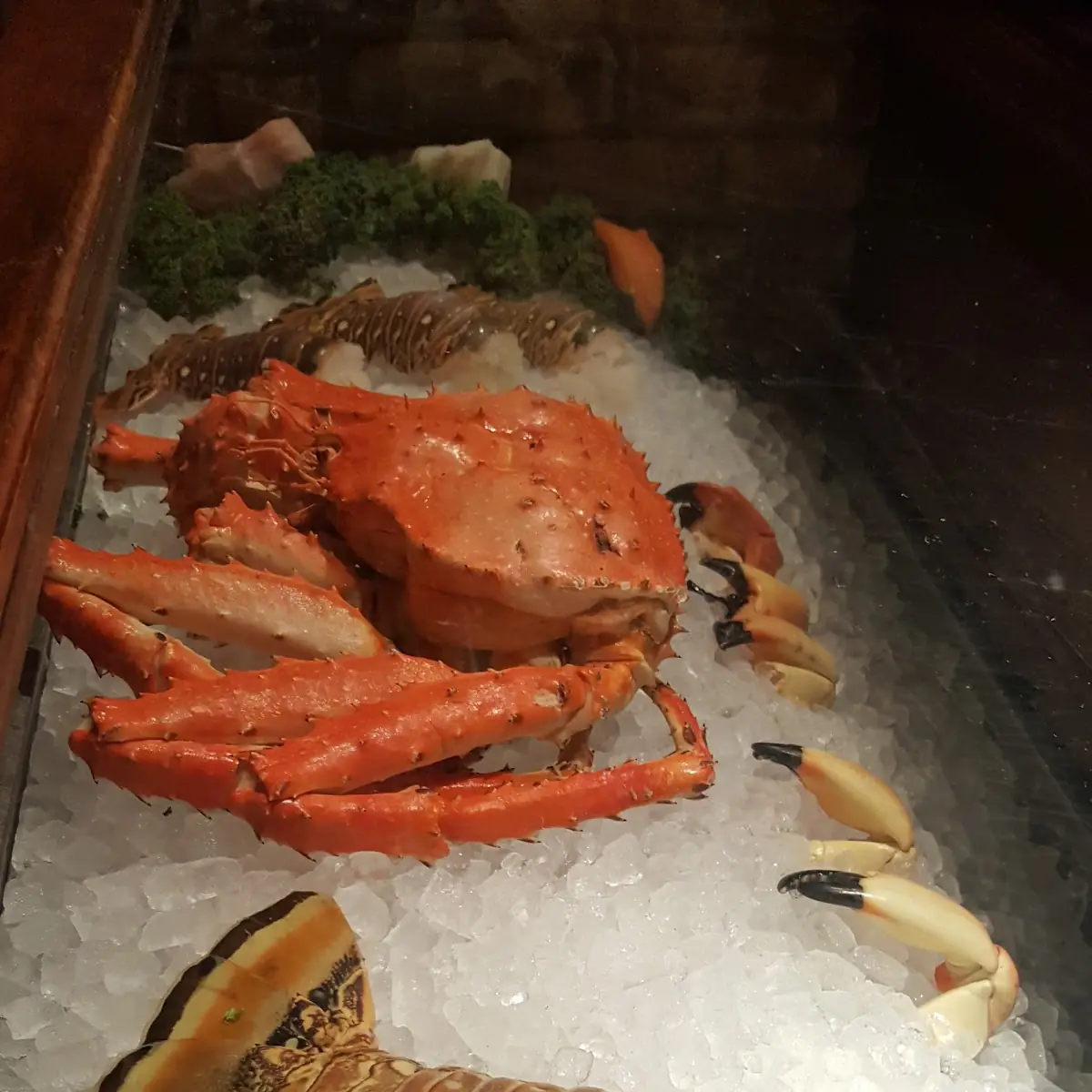 Colossal Lobster Tail