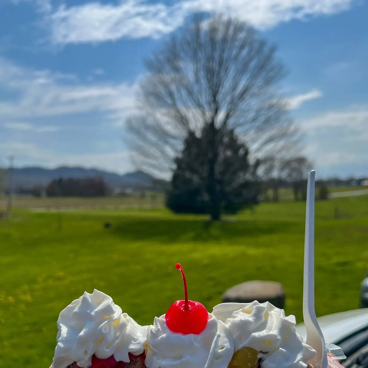 Banana Split