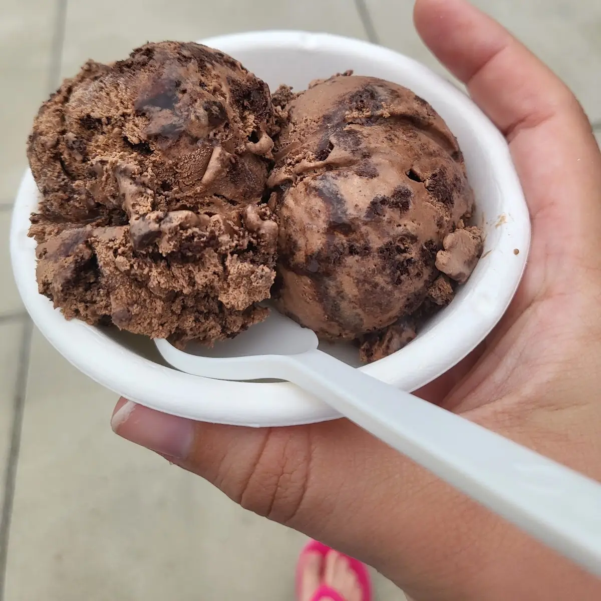 Vegan Chocolate Ice Cream