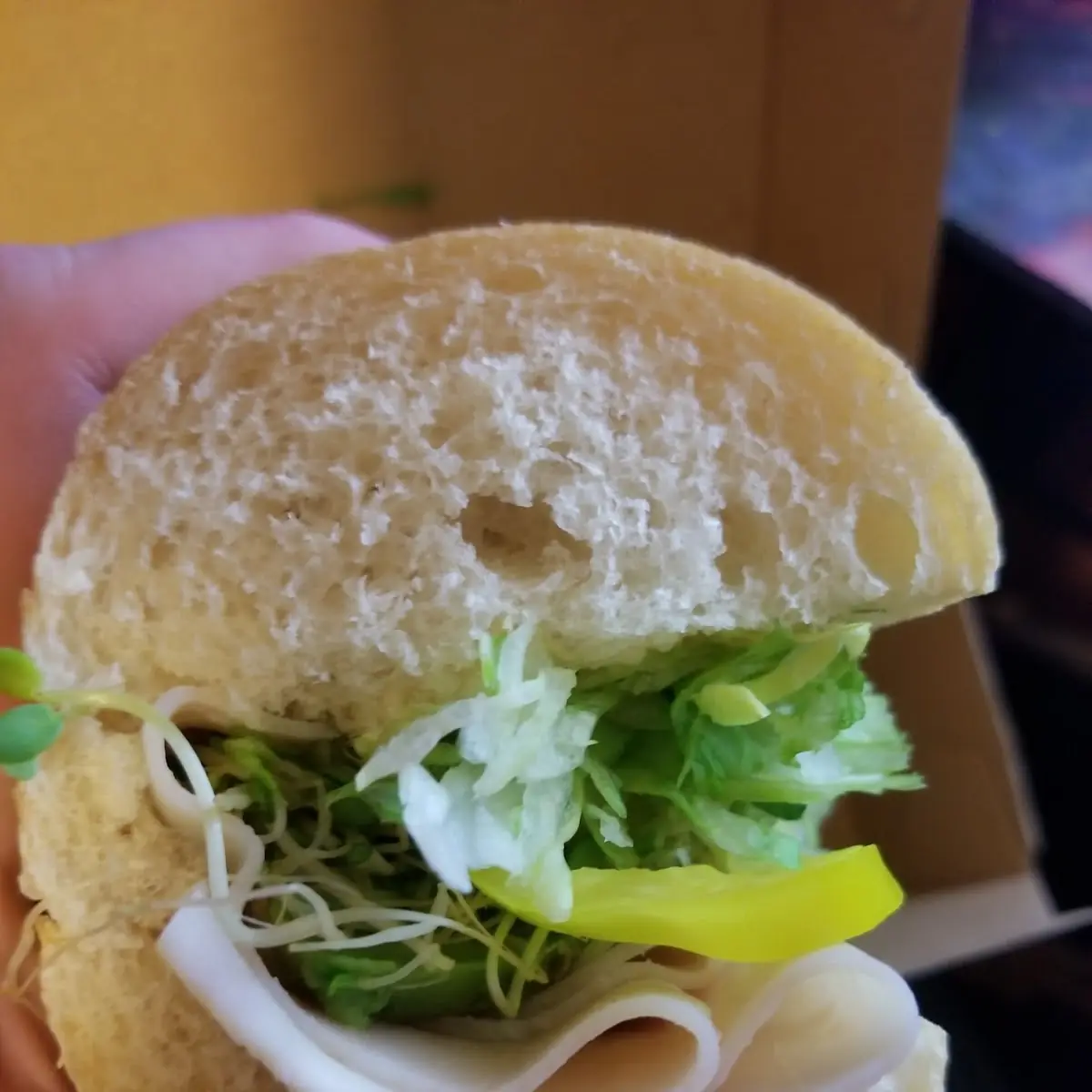 Very Sad Turkey Sandwich