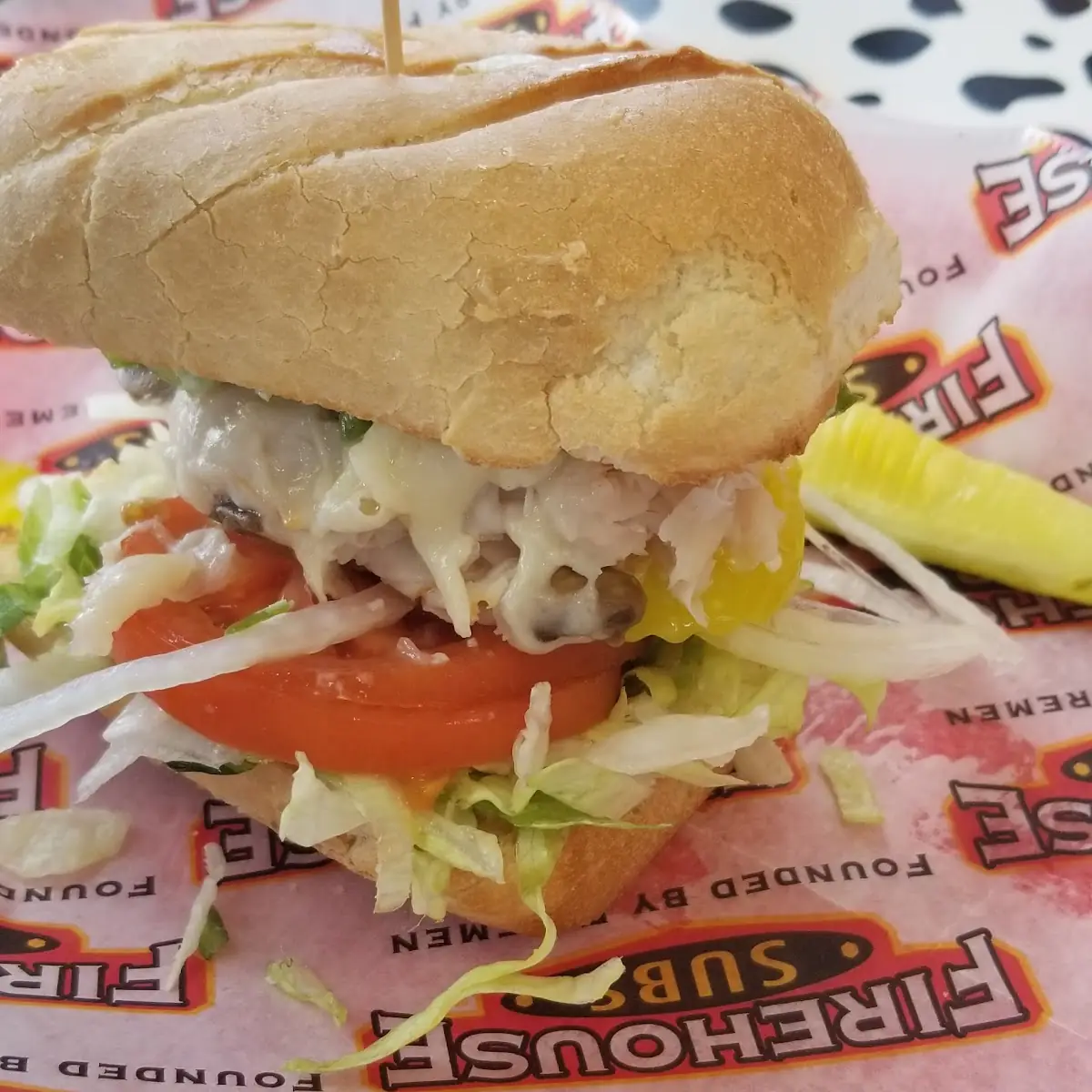 Turkey Sub