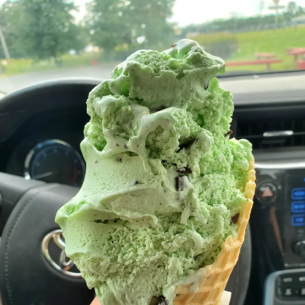 Mint Chip Standard Cone