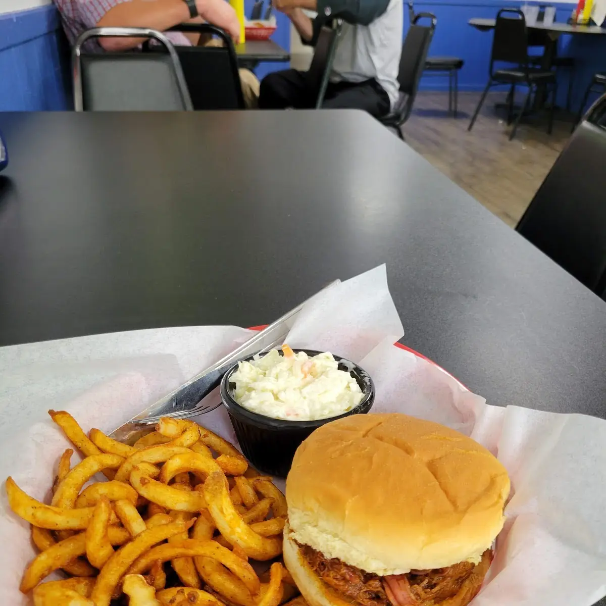 Pulled Pork Sandwich and Curly Fries