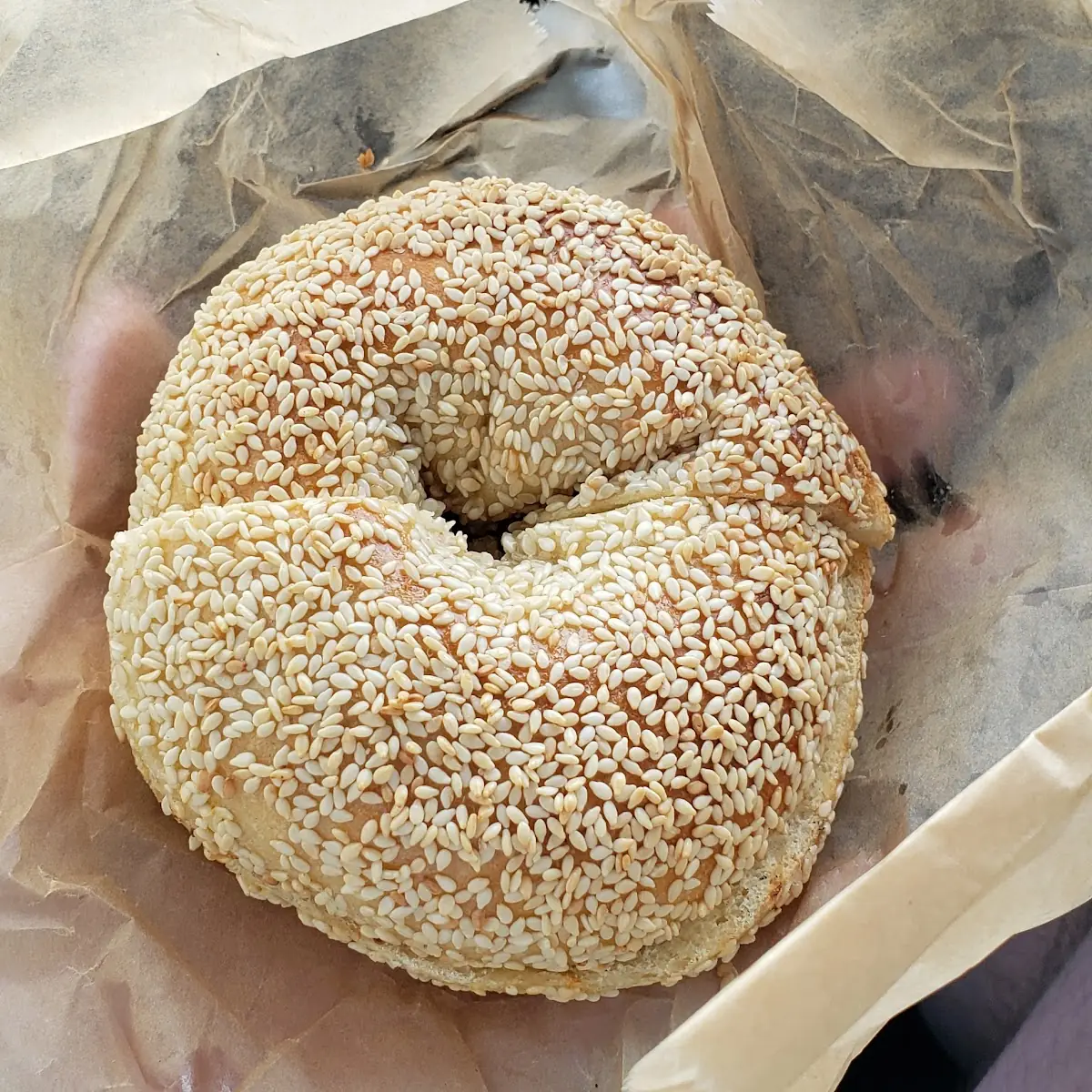 Sesame Bagels
