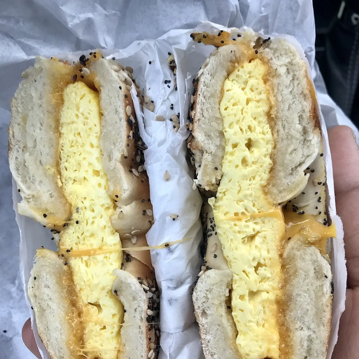 Everything Bagel with Cheddar Cheese and Egg