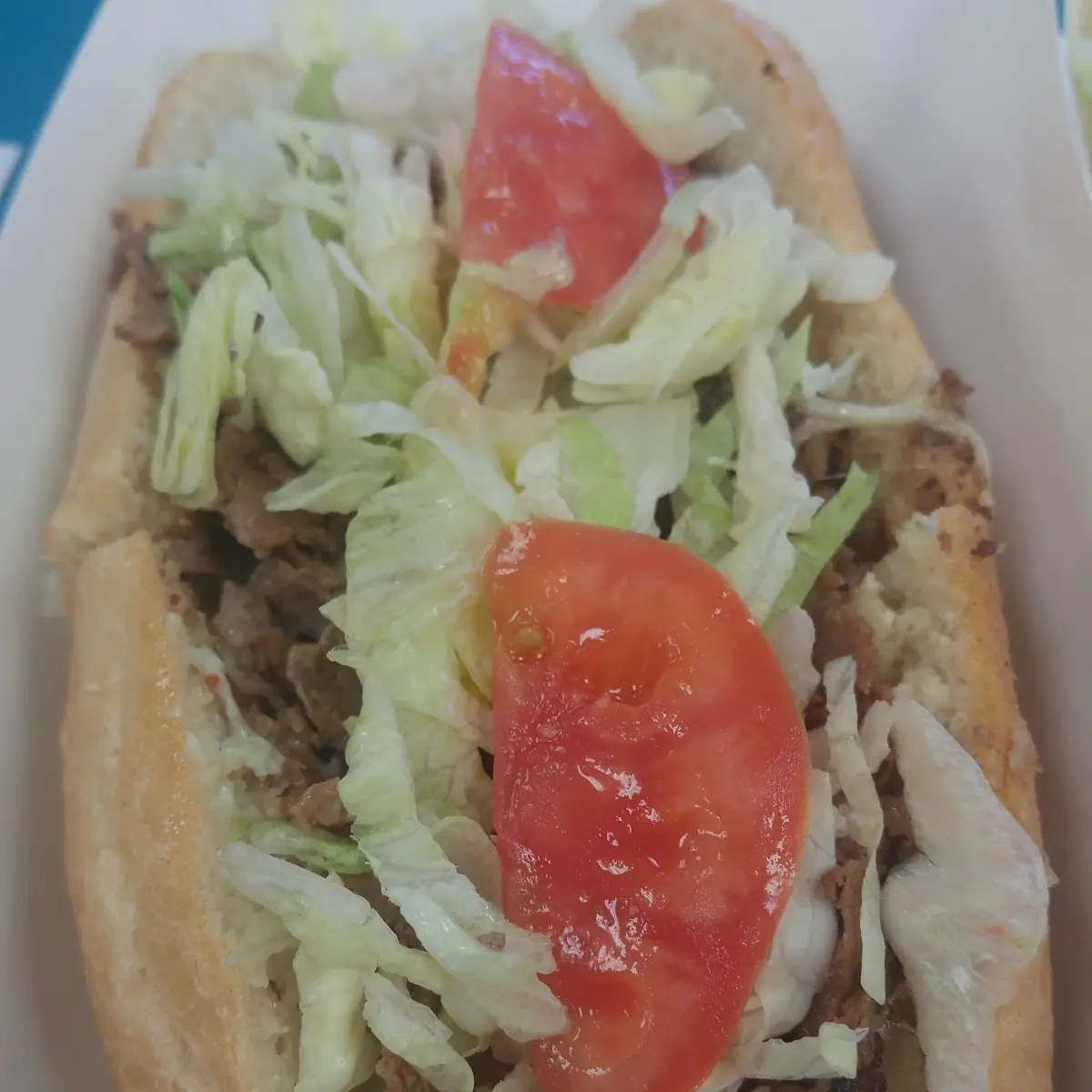 Great Steak Sandwich
