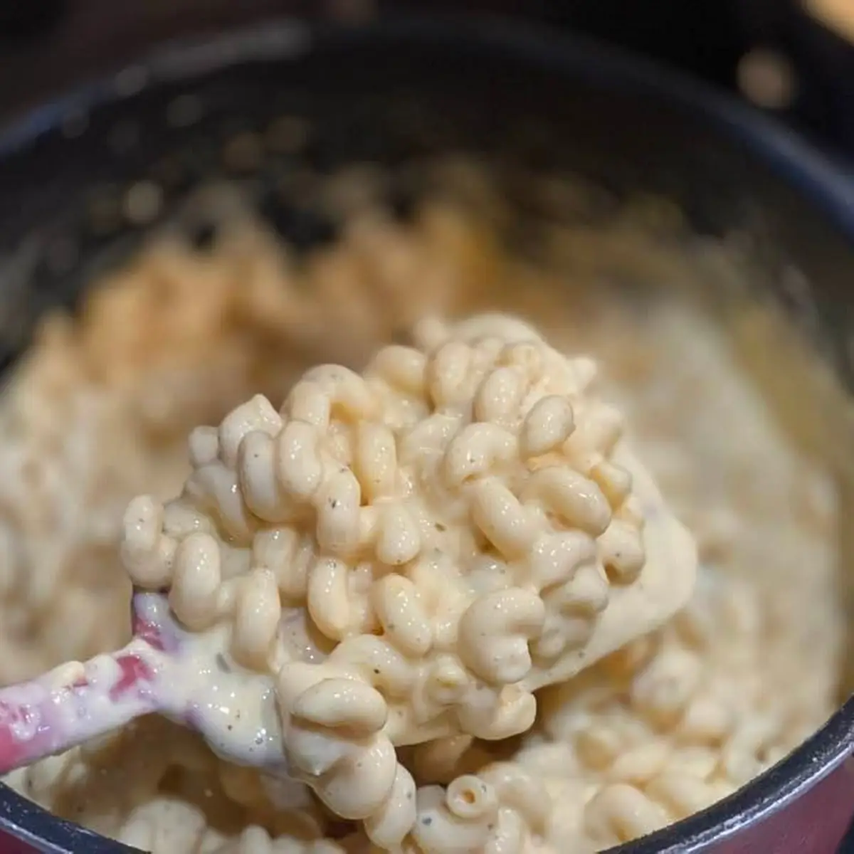 Baked Beans Mac & Cheese