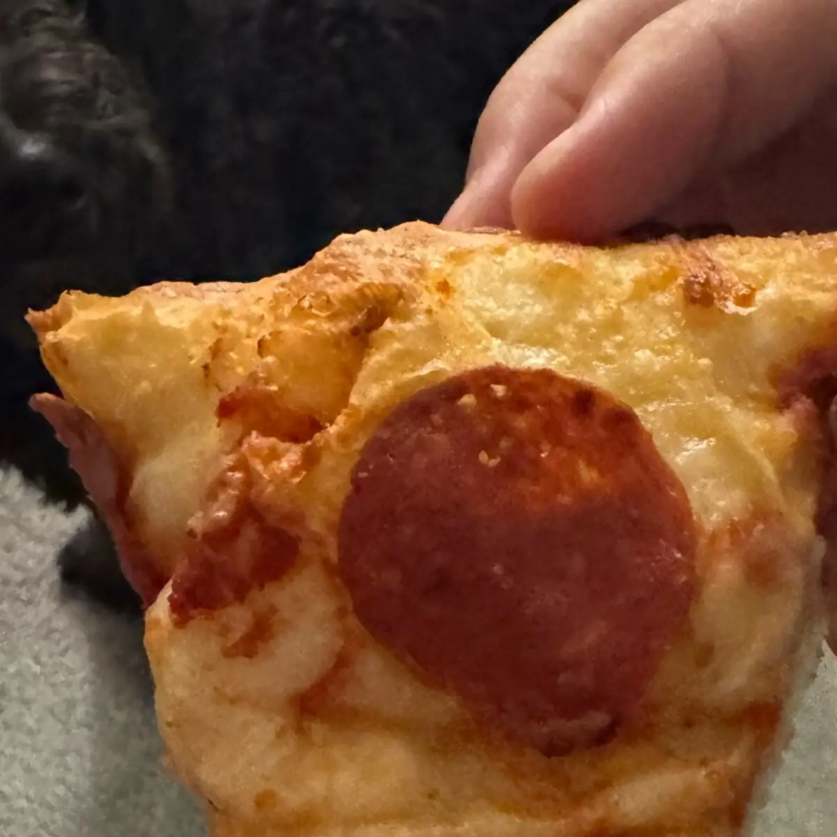 Pepperoni Pan Pizza
