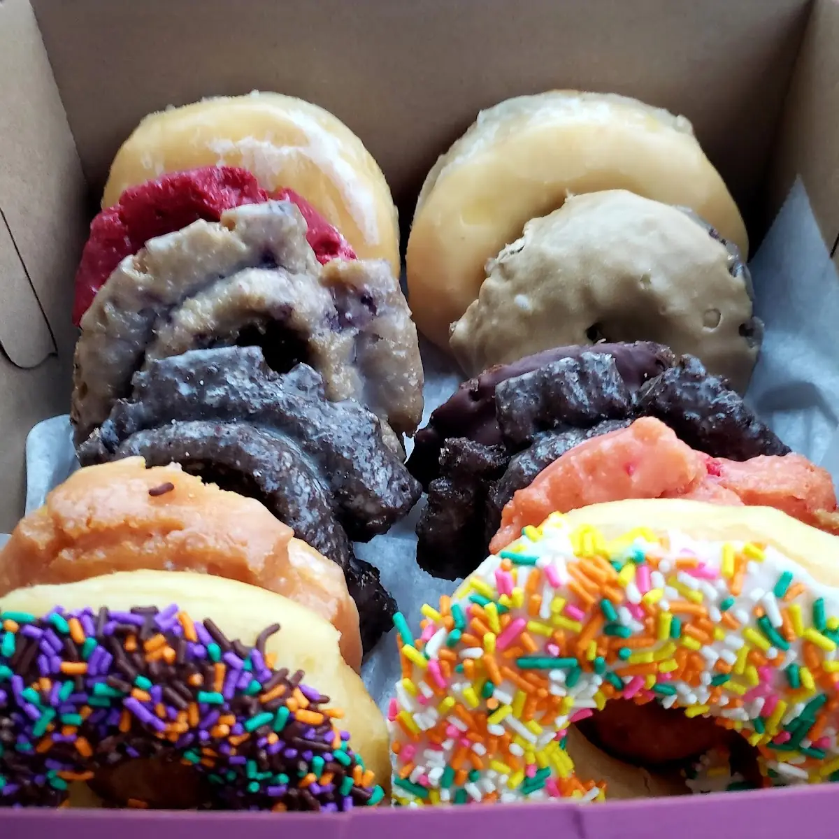 Mixed Dozen Donuts
