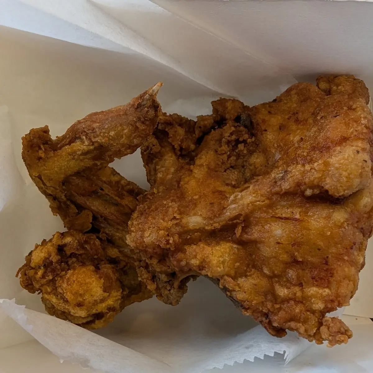 Fried Chicken Wing and Breast