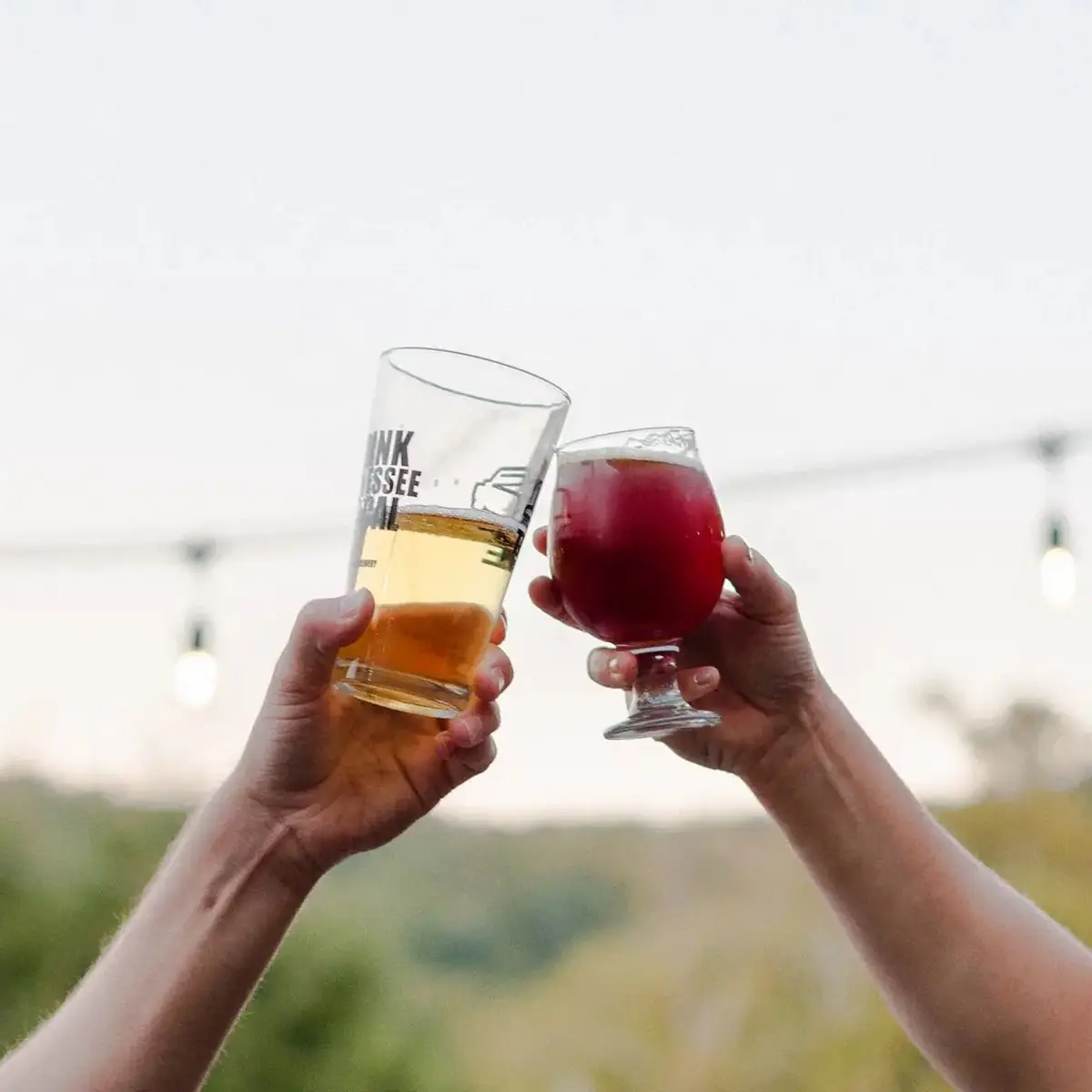 Cider