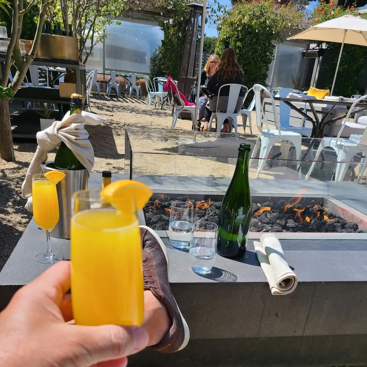 Bottomless Mimosa