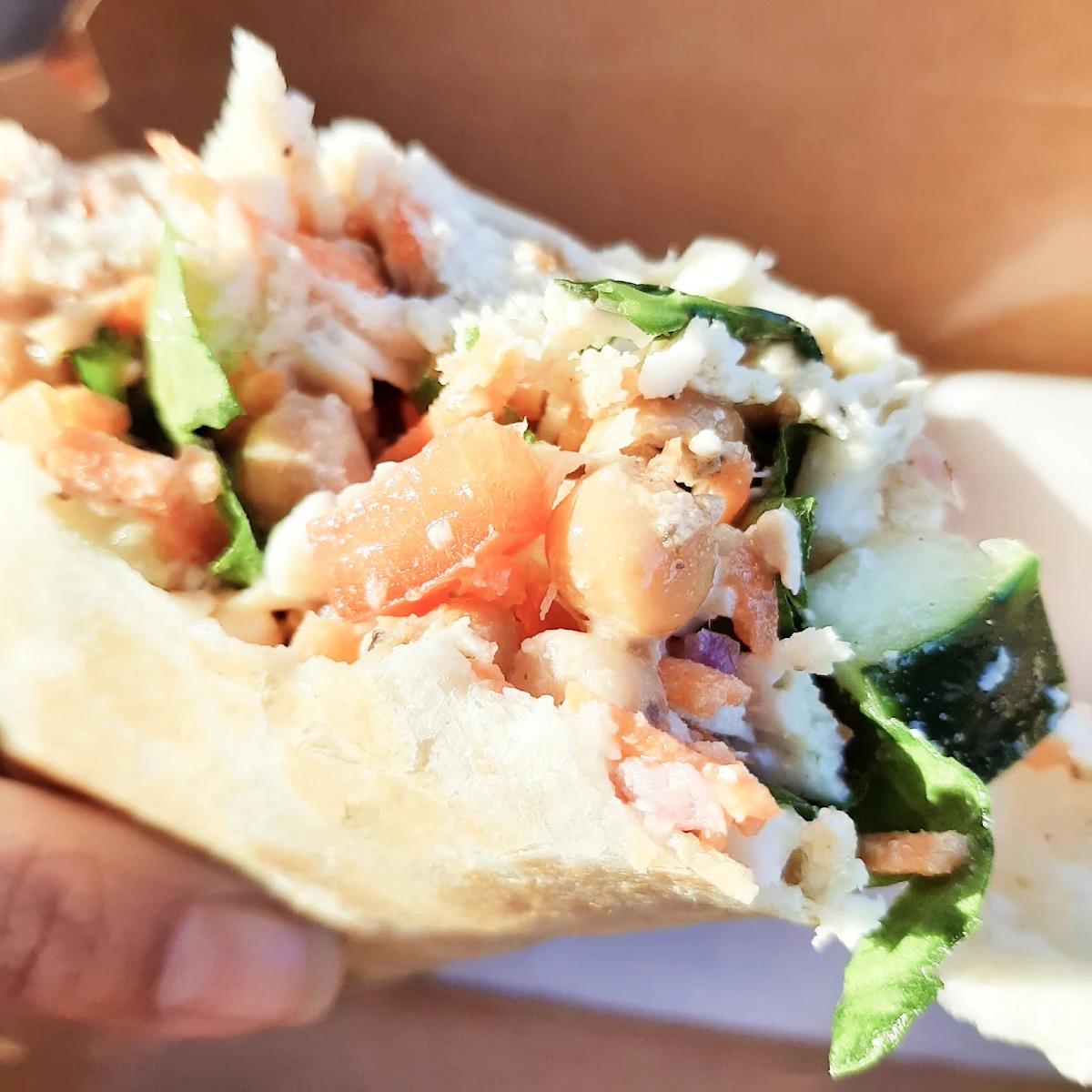 Veggie Wrap with Chicken
