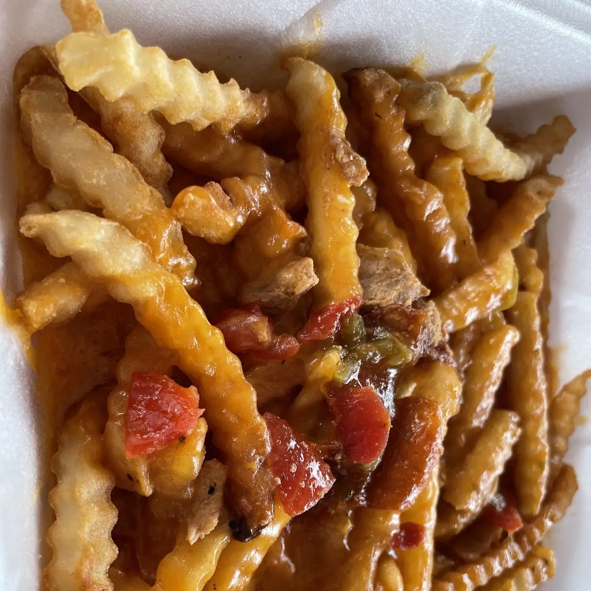 Green Chili Cheese Fries