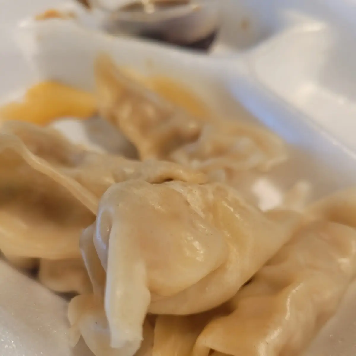 Pan Fried Dumpling 10