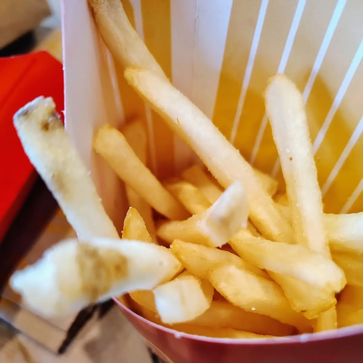 World Famous Fries