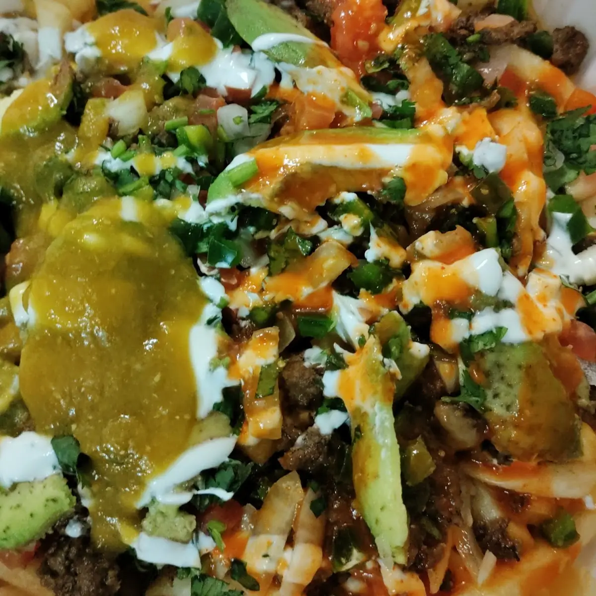 Carne Asada Fries