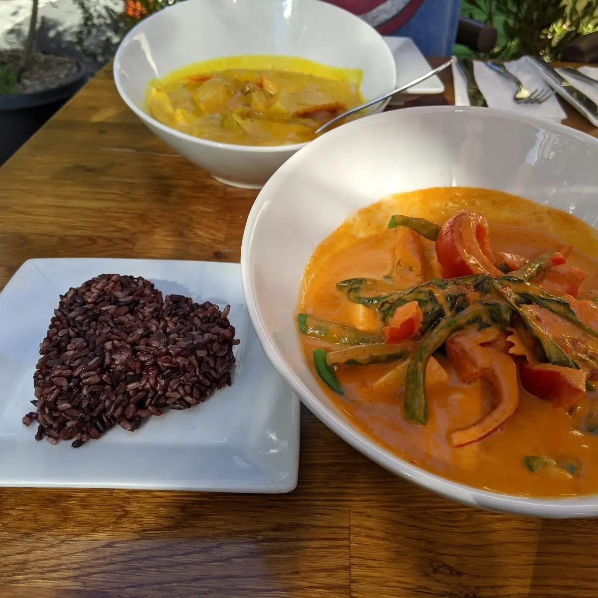 Red Curry with Brown Rice