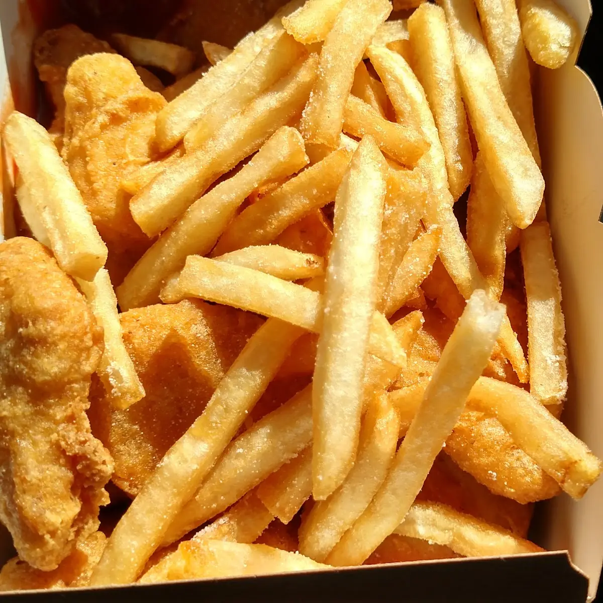 World Famous Fries