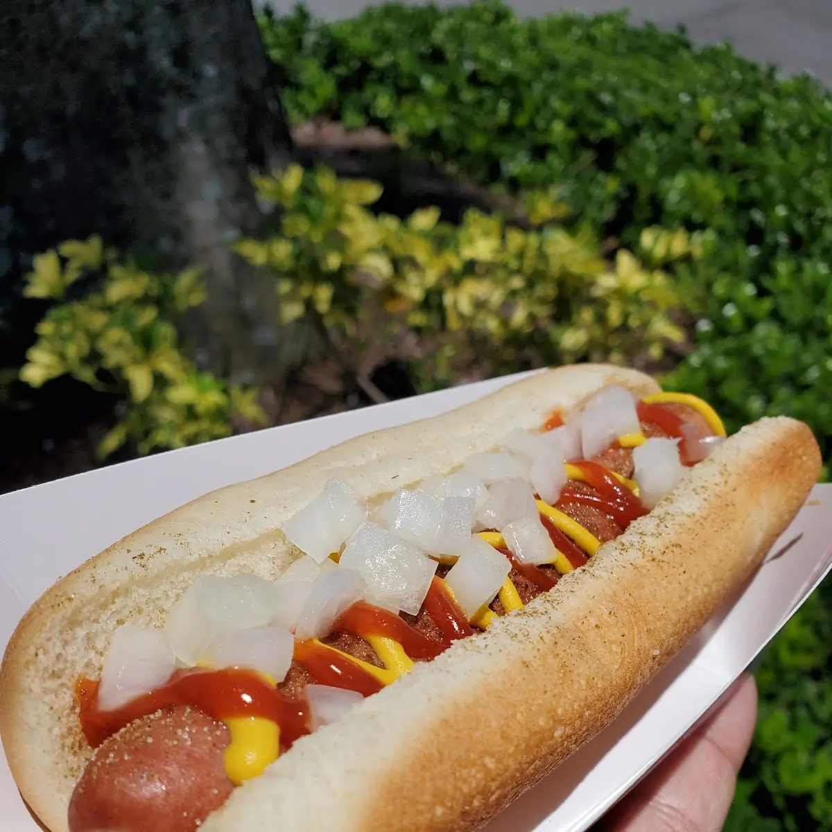 Cusom Hot Dog