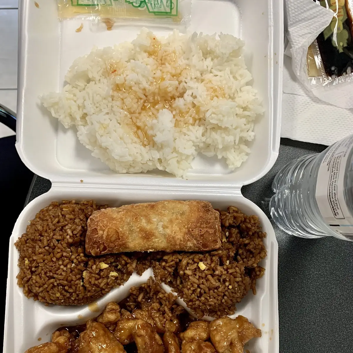 Fried Rice and Steamed Rice