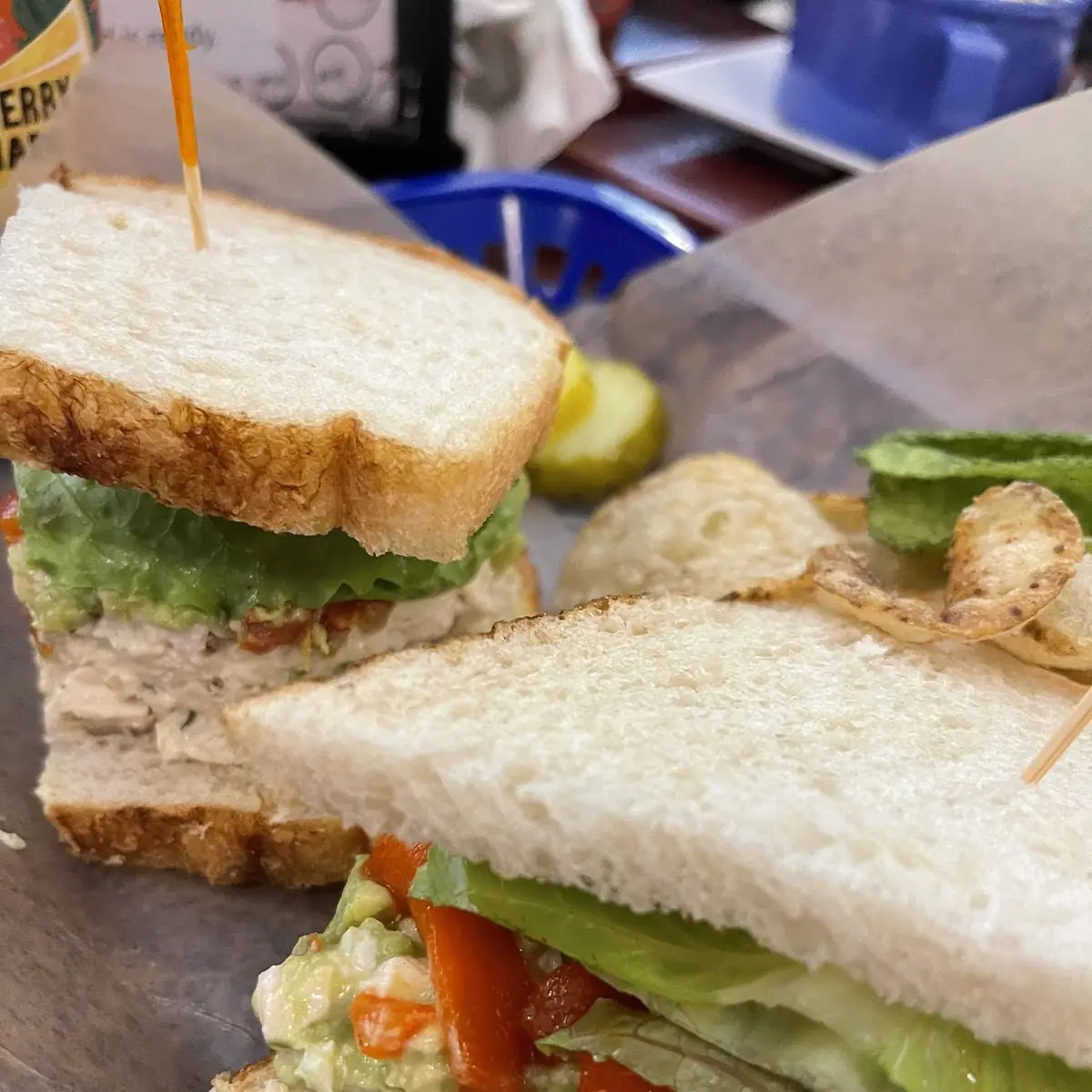 Chicken & Avocado