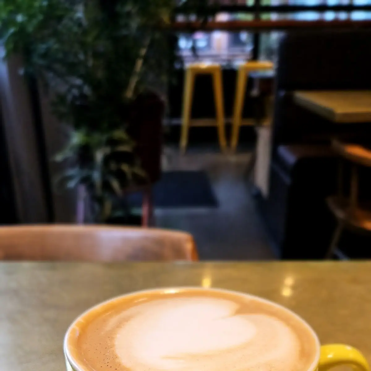 Large Latte with Leaf Art