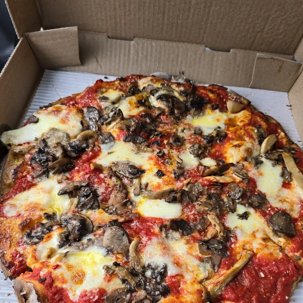 Mushroom Pizza