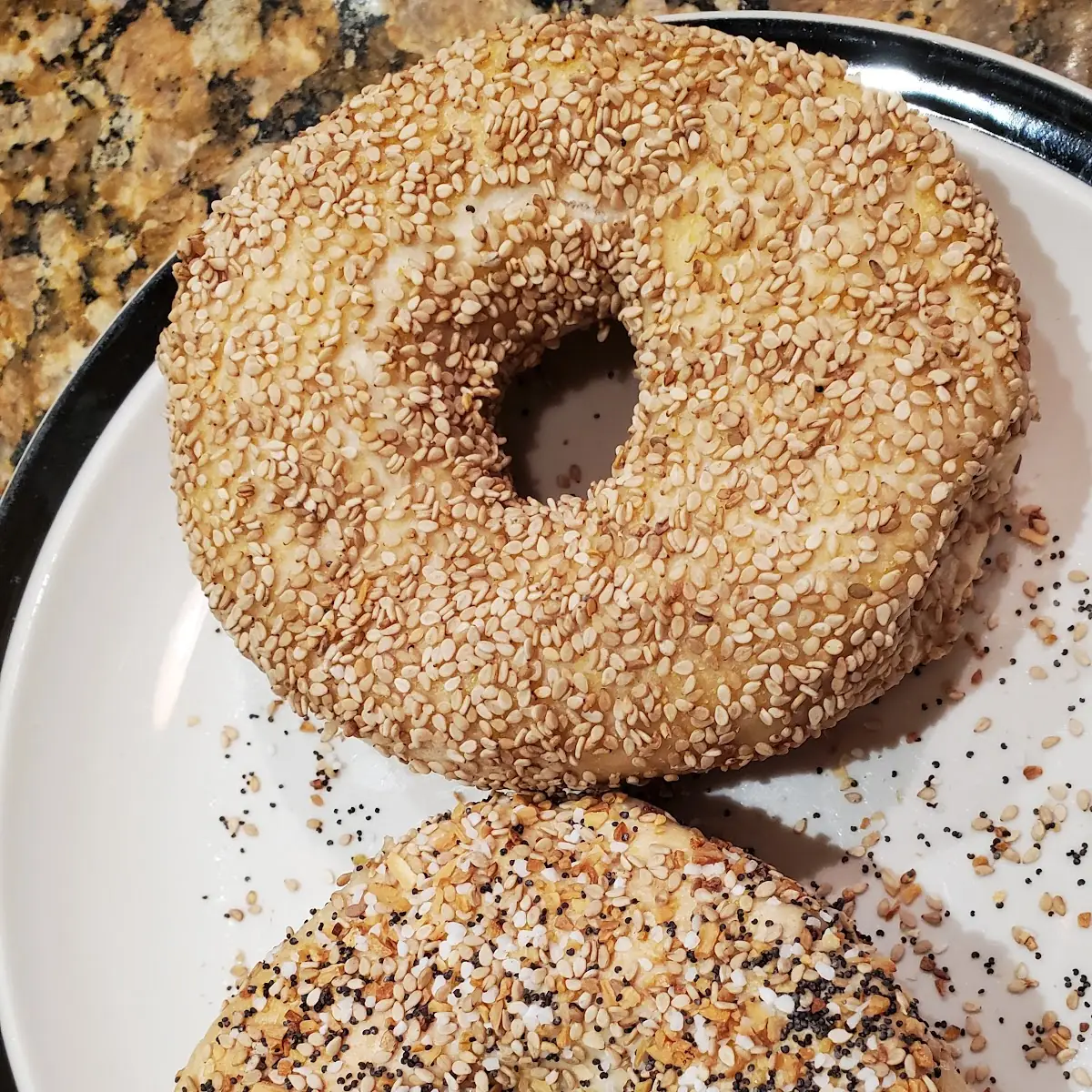 Everything Bagel Sesame Bagel